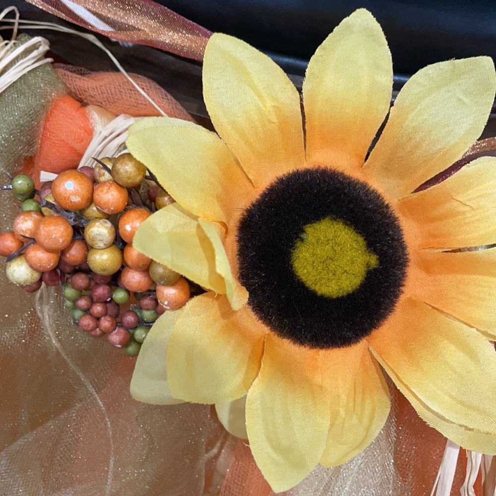 Scarecrow/fall tutu - Picture 2 of 4